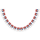 Servische vlag en Servische partij Banners/bruilof Vlaggetjes (Alle)