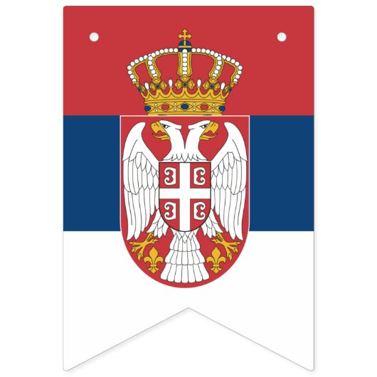 Servische vlag en Servische partij Banners/bruilof Vlaggetjes (Eerste vlag)