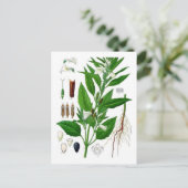 Sesam Briefkaart (Staand voorkant)