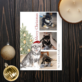Sesame Shiba Inu kerstboom Pet Dog Foto Feestdagenkaart