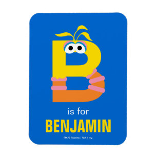 Sesame Street   B is voor Big Bird Magneet