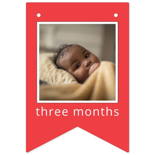 Sesame Street Characters & Street Sign Vlaggetjes (Derde vlag)