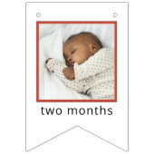 Sesame Street | Elmo First Birthday Bunting Flags Vlaggetjes (Tweede vlag)