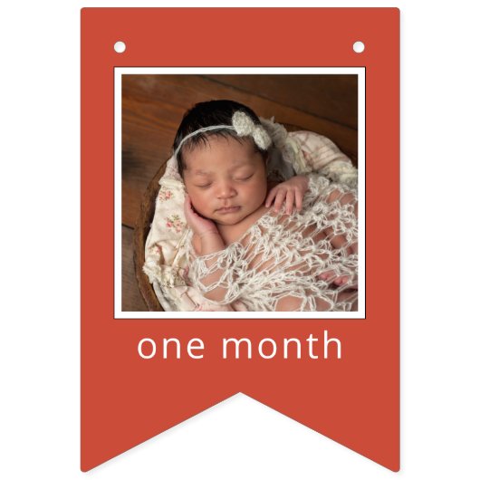 Sesame Street | Elmo First Birthday Bunting Flags Vlaggetjes (Eerste vlag)