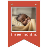 Sesame Street | Elmo First Birthday Bunting Flags Vlaggetjes (Derde vlag)