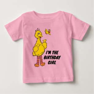 Sesame Street Grote Vogel & Kleine Vogel Verjaar