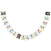 Sesame Street Pals Confetti Birthday Bunting Flags Vlaggetjes (Alle)