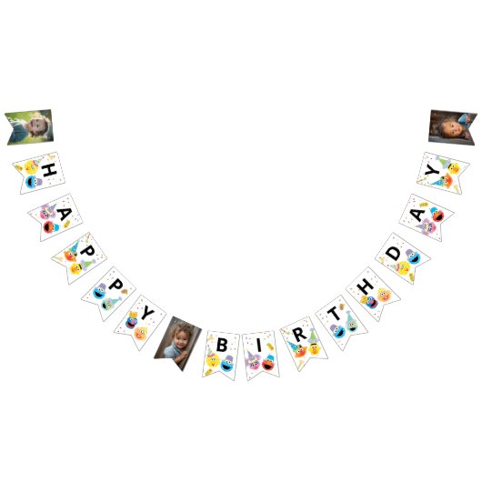 Sesame Street Pals Confetti Birthday Bunting Flags Vlaggetjes (Alle)