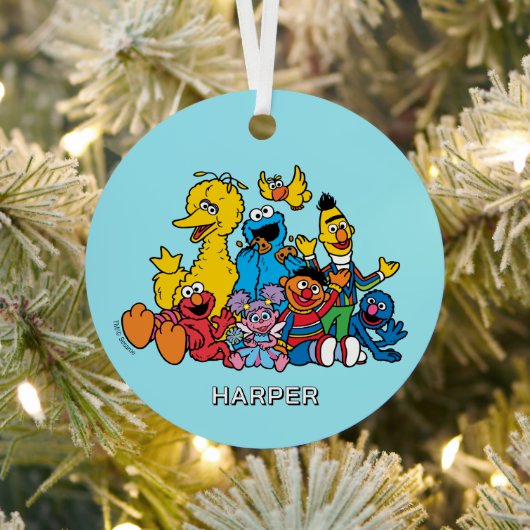 Sesame Street Pals | Customized Name & Photo Metalen Ornament (Insitu)