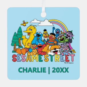 Sesame Street Regenbooggolf Metalen Ornament