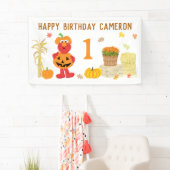 Sesame Street's Elmo is jarig Spandoek (Insitu)