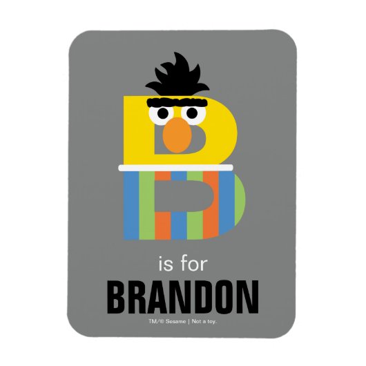 Sesamstraat | B is voor Bert Magneet (Verticaal)