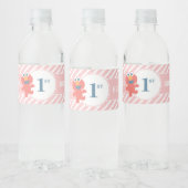 Sesamstraat | ELMO - Roze Verjaardagsflesetiket Waterfles Etiket (Flessen)