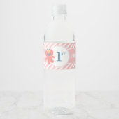 Sesamstraat | ELMO - Roze Verjaardagsflesetiket Waterfles Etiket (Voorkant)