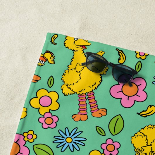 Sesamstraat | Grote vogel en kleine vogel | Naam t Strandlaken (In situ)