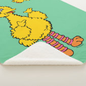 Sesamstraat | Grote vogel en kleine vogel Sherpa Deken (3/4)