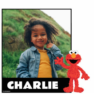 Sesamstraat Koekjesmonster Staand Fotobeeldje