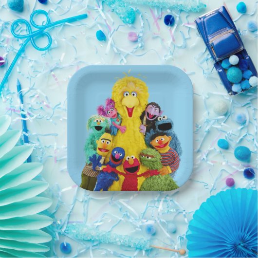 Sesamstraat | Leuk Kleurrijk Pals Portret Papieren Bordje (Feest)