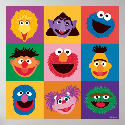 Sesamstraat personages | Colorblock Grid Poster (Voorkant)