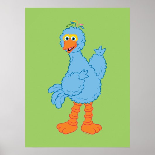 Sesamstraat Pino Poster (Voorkant)