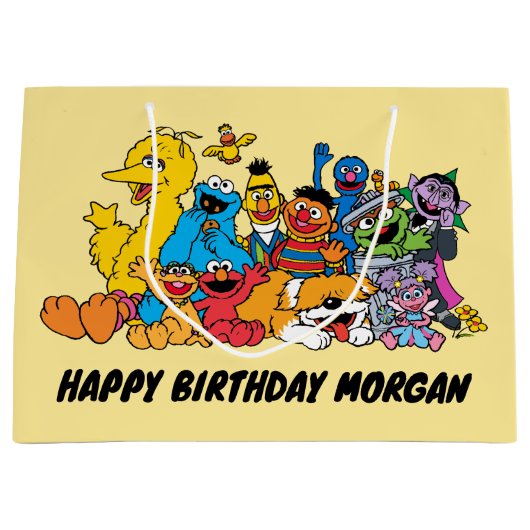 Sesamstraat | Sesamprogramma's | Fijne verjaardag Groot Cadeauzakje (Voorkant)