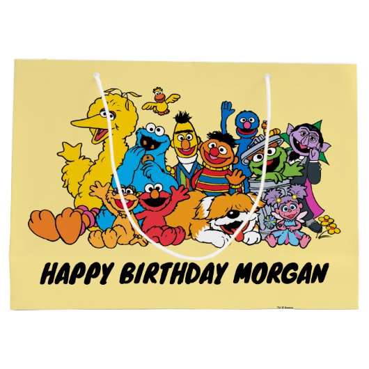 Sesamstraat | Sesamprogramma's | Fijne verjaardag Groot Cadeauzakje (Achterkant)