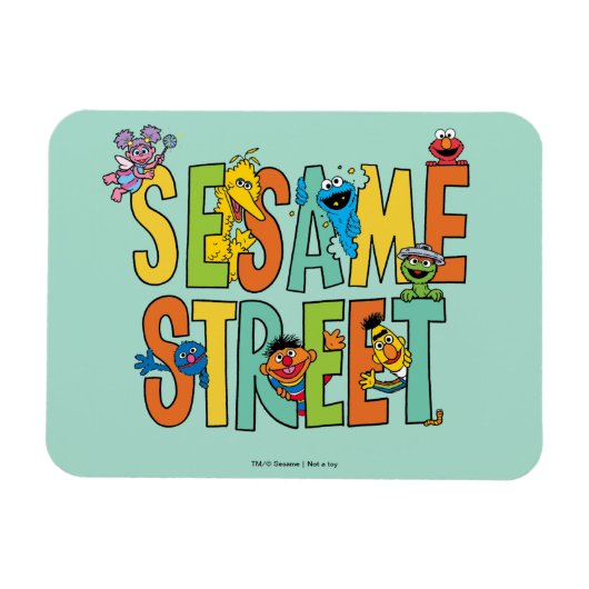 Sesamstraat | Sesamstraat Type Pals Magneet (Horizontaal)