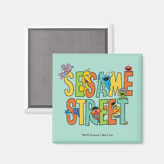 Sesamstraat | Sesamstraat Type Pals Magneet (Voorkant / Achterkant)