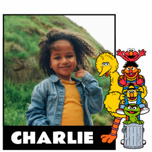 Sesamstraat Sesamstraat Vrienden Pose Staand Fotobeeldje