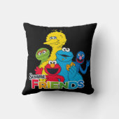 Sesamstraat | Sesamvrienden Kussen (Achterkant)