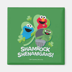 Sesamstraat   Shamrock Shenanigans! Magneet