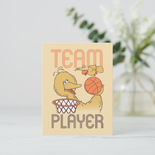 Sesamstraat | Vogelteam speler Briefkaart (Staand voorkant)