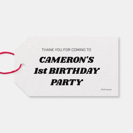 Sesamstraat Vrienden ballonnen Verjaardag dank u Cadeaulabel (Achterkant Horizontaal)