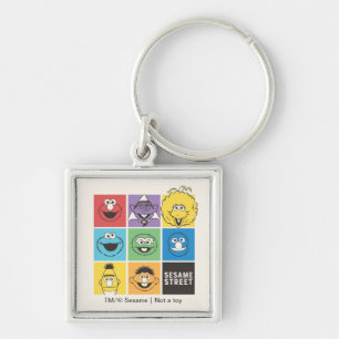 Sesamstraat Vrienden   Kleurblokken Sleutelhanger