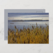 Sescape van Ostrobothnia CC0076 Briefkaart (Voorkant / Achterkant)