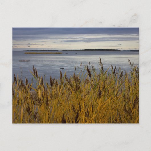 Sescape van Ostrobothnia CC0076 Briefkaart (Voorkant)