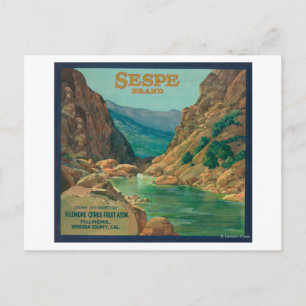 Sespe Oranje LabelFillmore, CA Briefkaart