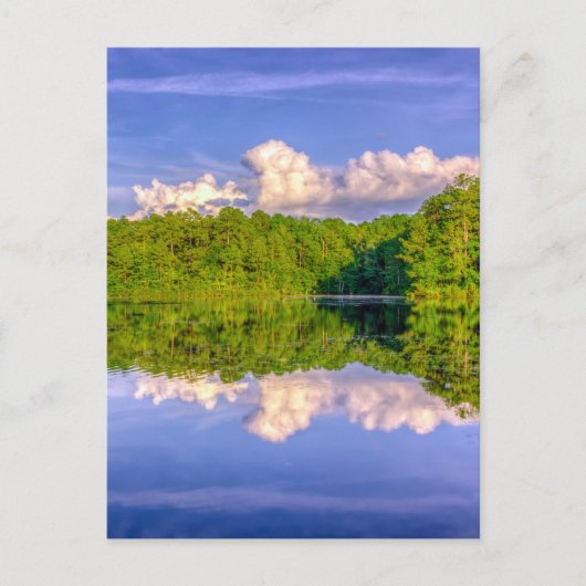 Sesqui Lake Briefkaart (Voorkant)