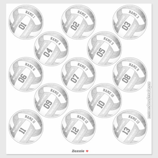 Set 13 girly zilver grijs volleybal spelers namen sticker (Vel)