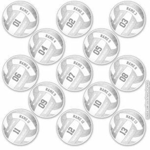 Set 13 girly zilver grijs volleybal spelers namen sticker