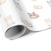 Set met malle katjes cadeaupapier (Rol Hoek)
