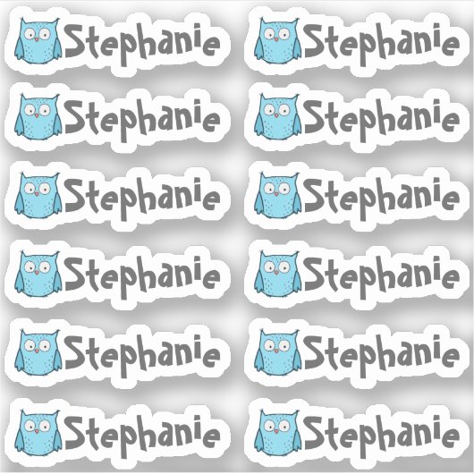 Set of 12 Small Whimsical Owl Name Labels (Voorkant)