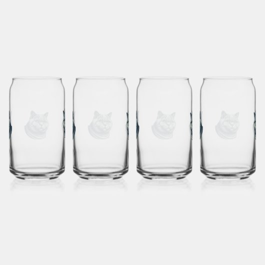 set of 4 gletsjers cat blikvorm glas (Rechts)