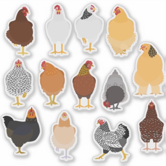 set of various chickens sticker (Voorkant)