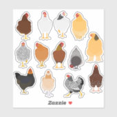 set of various chickens sticker (Vel)
