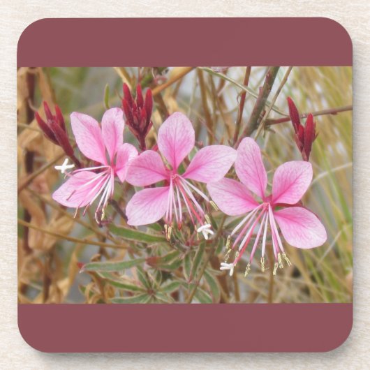 Set onderzetter - Roze Guara (Voorkant)