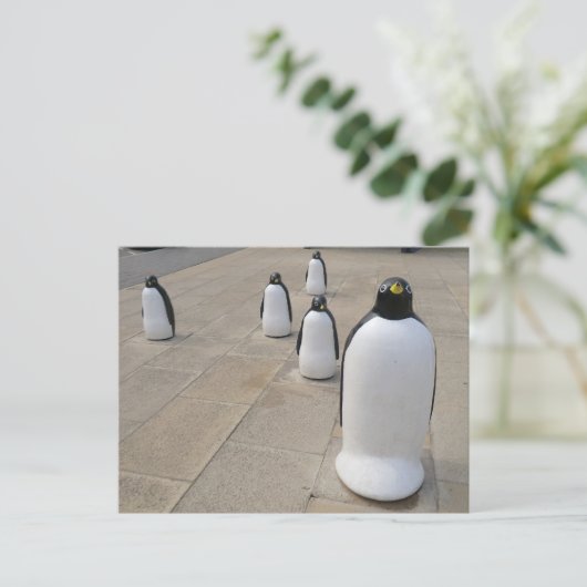 Set Penguins Briefkaart (Staand voorkant)