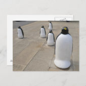 Set Penguins Briefkaart (Voorkant / Achterkant)