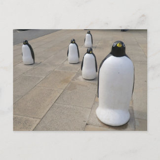 Set Penguins Briefkaart