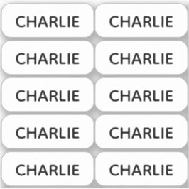 Set van 10 Eenvoudige Kleine Naamlabels Afgeronde  Sticker